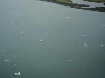 To Drill or Not To Drill? Image